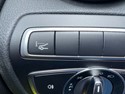 image12.jpeg